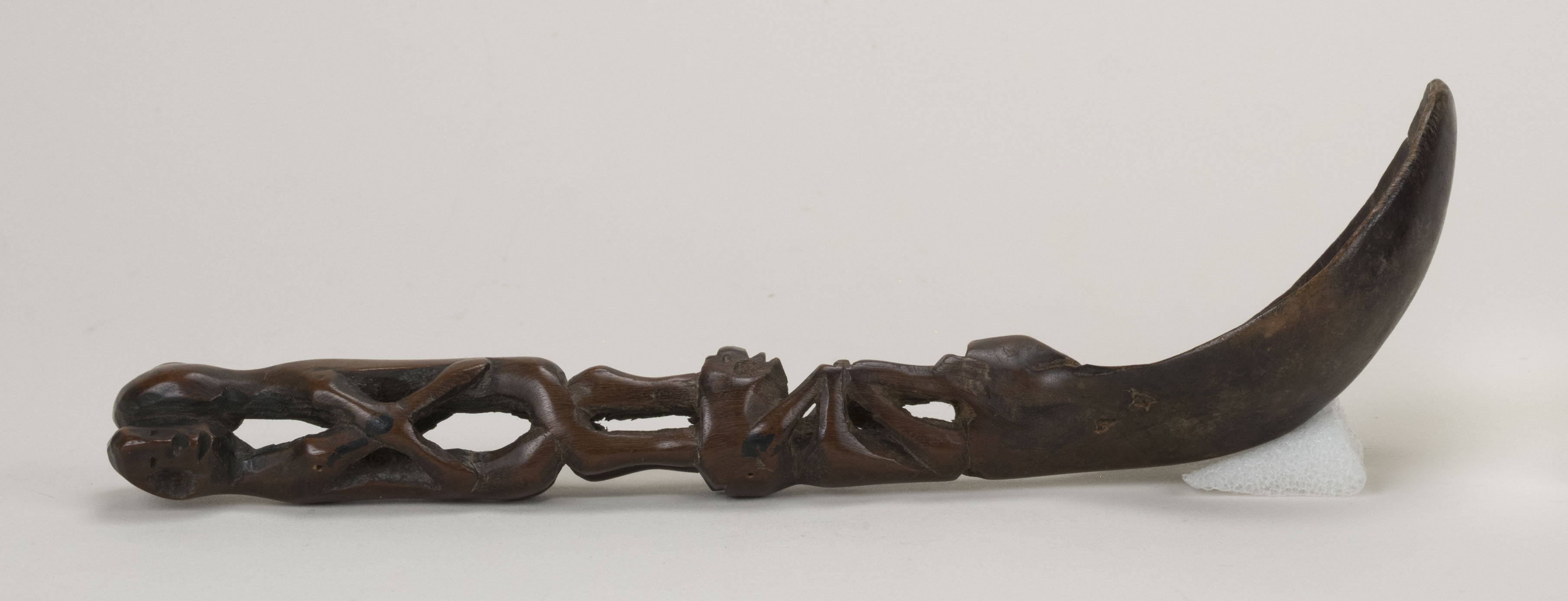 Side view without scale (c) Field Museum of Natural History - CC BY-NC 4.0